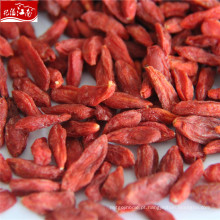 Wholesale chinês orgânico goji berry